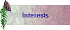 Interests