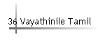 36 Vayathinile Tamil