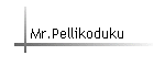 Mr.Pellikoduku