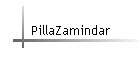 PillaZamindar