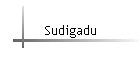 Sudigadu