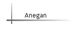 Anegan