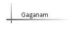 Gaganam