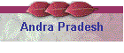 Andra Pradesh