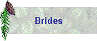 Brides