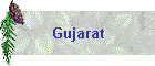 Gujarat