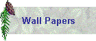 Wall Papers