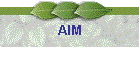 AIM