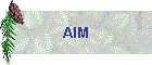 AIM