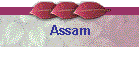 Assam