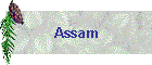 Assam