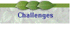 Challenges