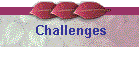 Challenges