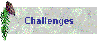 Challenges