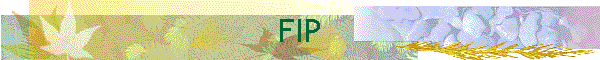 FIP