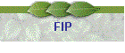 FIP