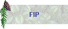 FIP