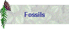 Fossils