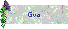 Goa