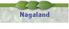 Nagaland