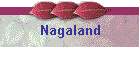 Nagaland