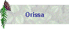 Orissa