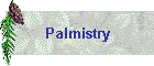 Palmistry