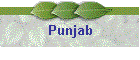 Punjab