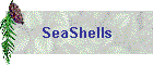 SeaShells