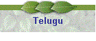 Telugu