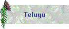 Telugu