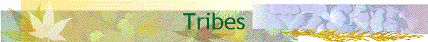 Tribes