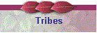 Tribes