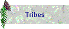 Tribes